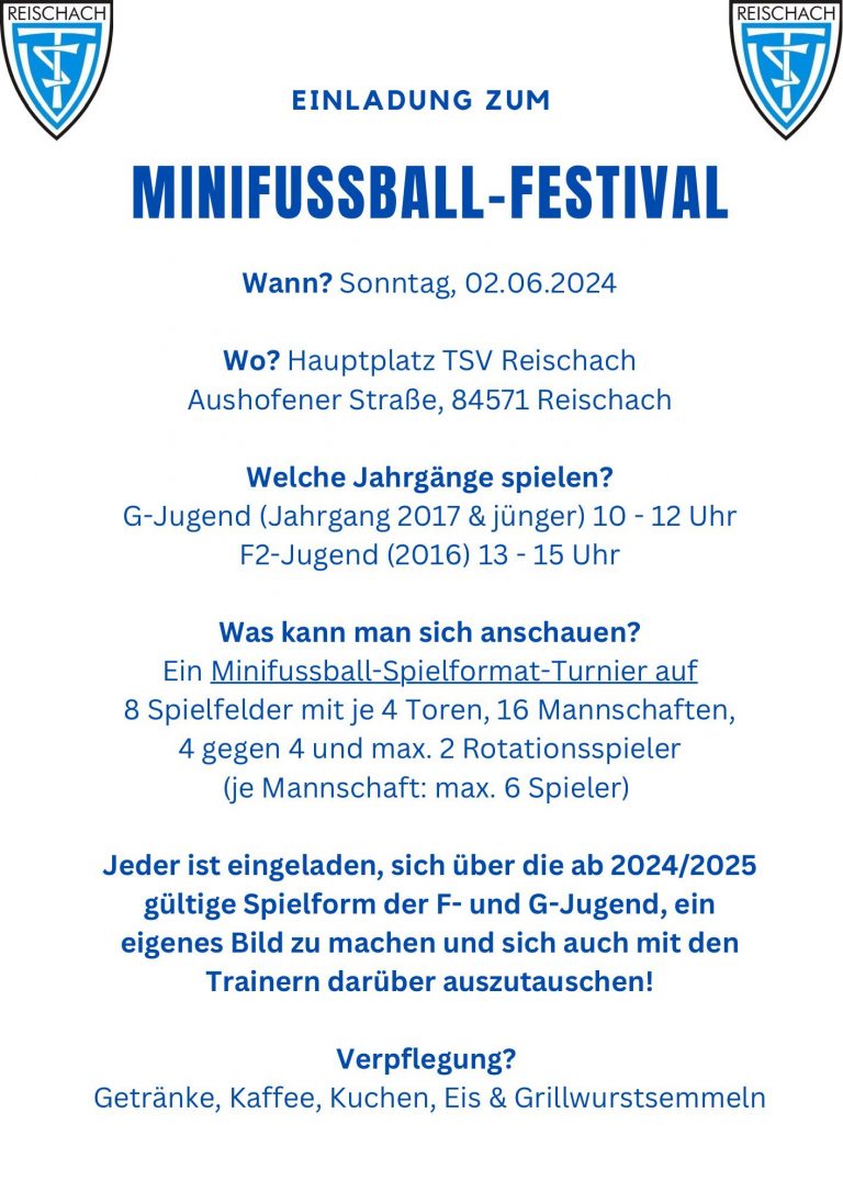 Minifussball-Festival